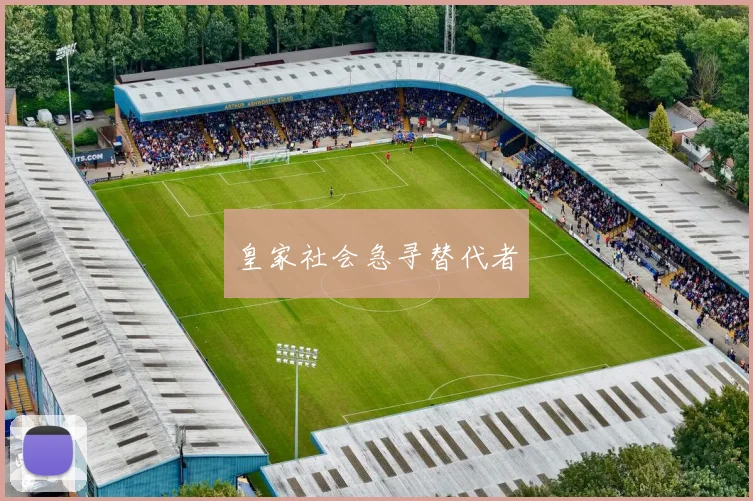 皇家社会急寻替代者
