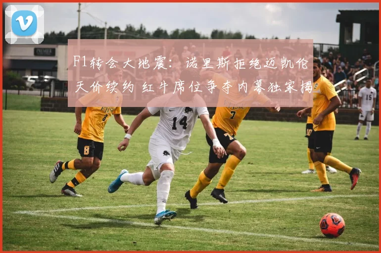 F1转会大地震:诺里斯拒绝迈凯伦天价续约 红牛席位争夺内幕独家揭秘