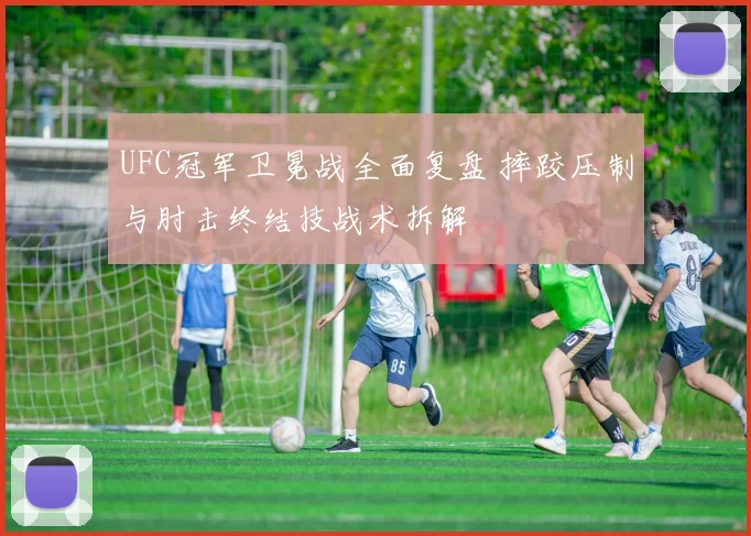 UFC冠军卫冕战全面复盘 摔跤压制与肘击终结技战术拆解